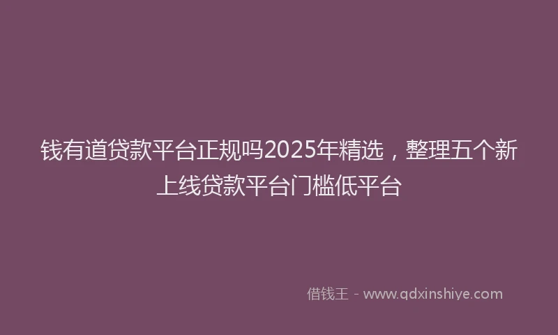 钱有道贷款平台正规吗2025年精选，整理五个新上线贷款平台门槛低平台