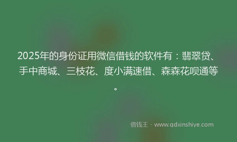 2025年的身份证用微信借钱的软件有：翡翠贷、手中商城、三枝花、度小满速借、森森花呗通等。