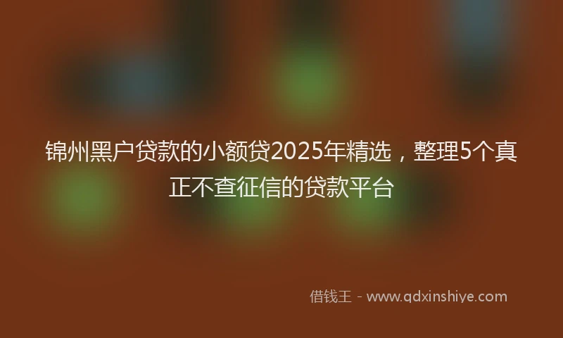 锦州黑户贷款的小额贷2025年精选，整理5个真正不查征信的贷款平台