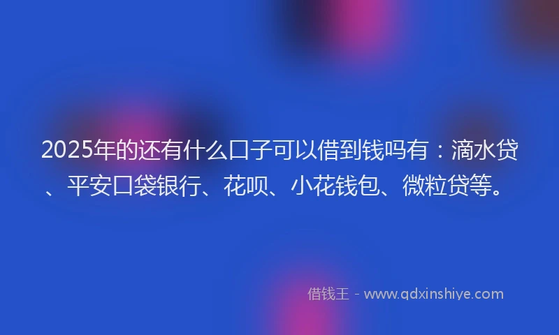 2025年的还有什么口子可以借到钱吗有：滴水贷、平安口袋银行、花呗、小花钱包、微粒贷等。