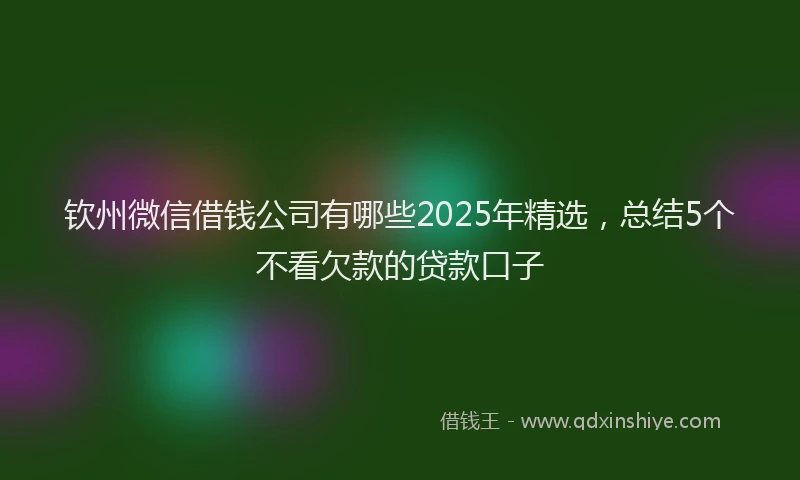 钦州微信借钱公司有哪些2025年精选，总结5个不看欠款的贷款口子