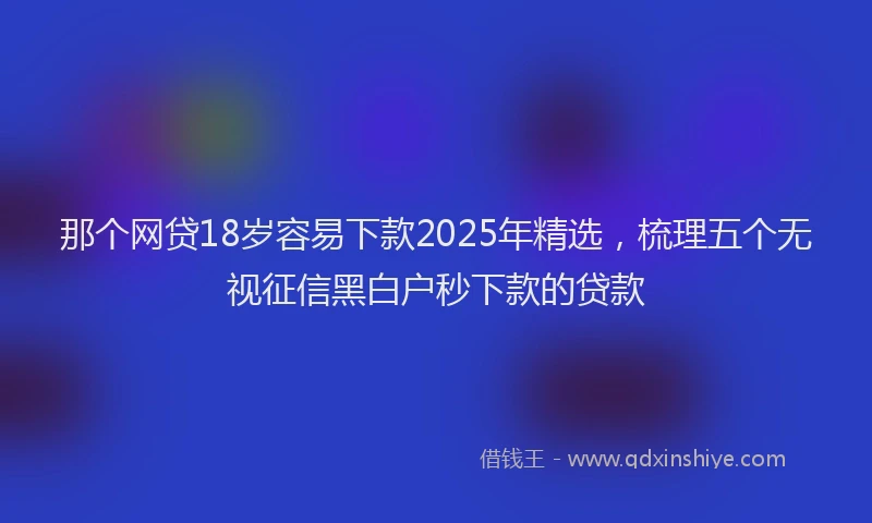 那个网贷18岁容易下款2025年精选，梳理五个无视征信黑白户秒下款的贷款