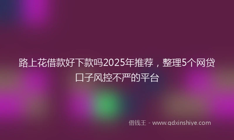 路上花借款好下款吗2025年推荐，整理5个网贷口子风控不严的平台