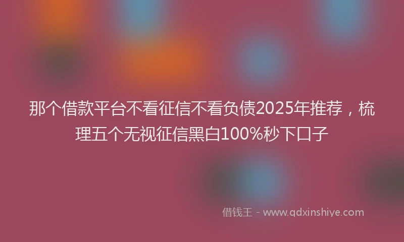 那个借款平台不看征信不看负债2025年推荐，梳理五个无视征信黑白100%秒下口子