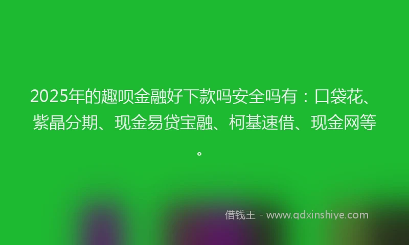 2025年的趣呗金融好下款吗安全吗有：口袋花、紫晶分期、现金易贷宝融、柯基速借、现金网等。