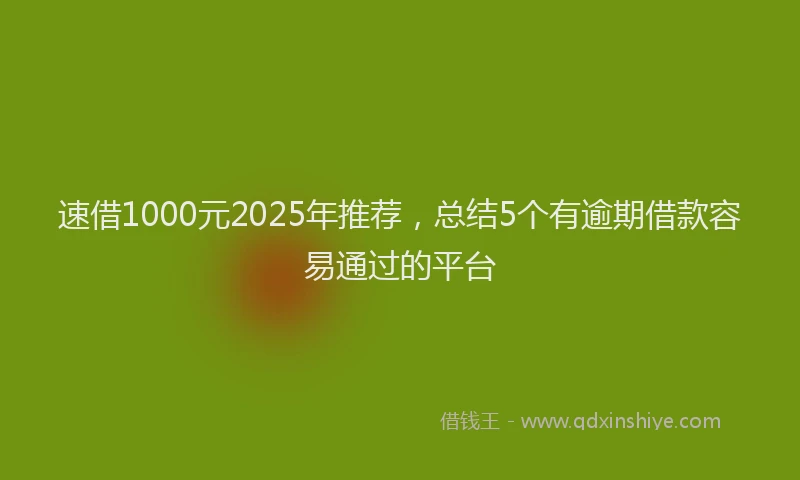 速借1000元2025年推荐，总结5个有逾期借款容易通过的平台