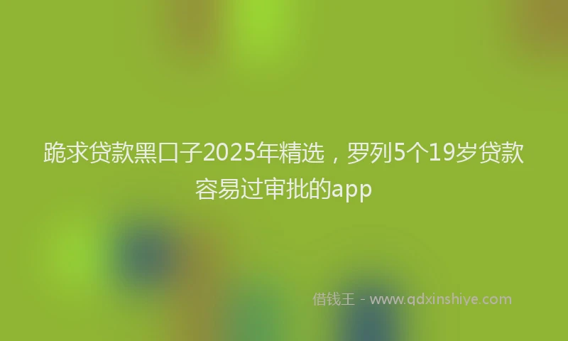 跪求贷款黑口子2025年精选，罗列5个19岁贷款容易过审批的app