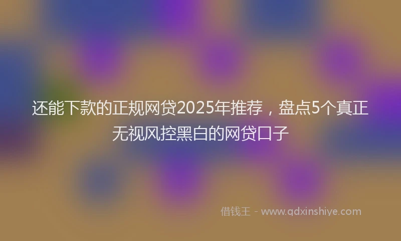还能下款的正规网贷2025年推荐，盘点5个真正无视风控黑白的网贷口子