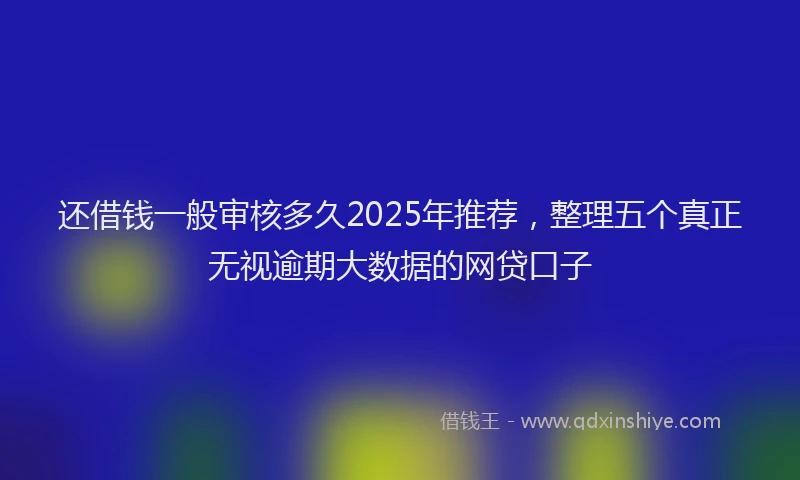 还借钱一般审核多久2025年推荐，整理五个真正无视逾期大数据的网贷口子