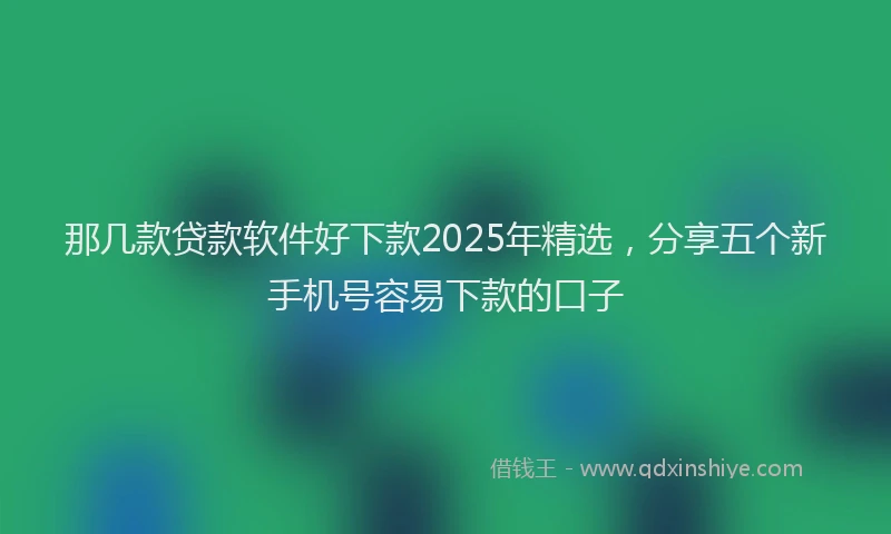 那几款贷款软件好下款2025年精选，分享五个新手机号容易下款的口子