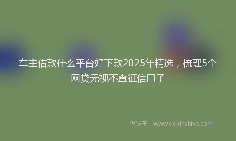 车主借款什么平台好下款2025年精选，梳理5个网贷无视不查征信口子