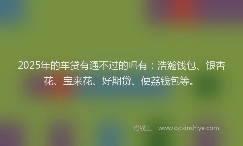 2025年的车贷有通不过的吗有：浩瀚钱包、银杏花、宝来花、好期贷、便荔钱包等。