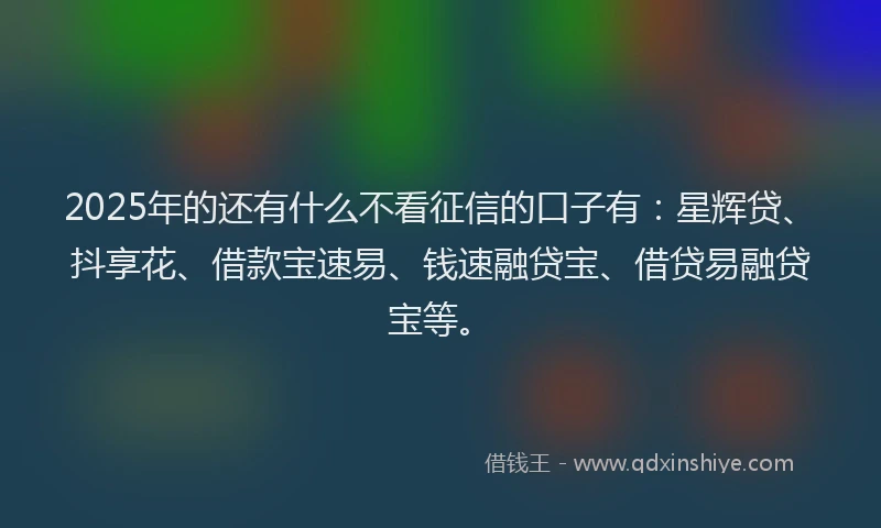 2025年的还有什么不看征信的口子有：星辉贷、抖享花、借款宝速易、钱速融贷宝、借贷易融贷宝等。