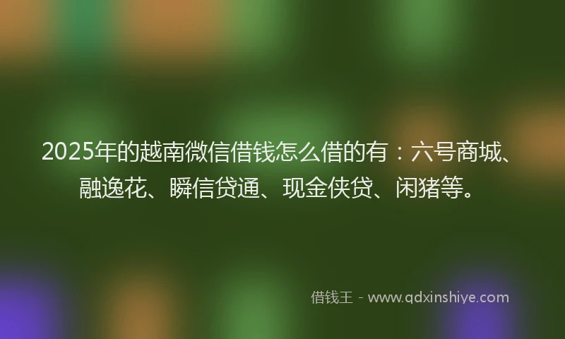 2025年的越南微信借钱怎么借的有：六号商城、融逸花、瞬信贷通、现金侠贷、闲猪等。