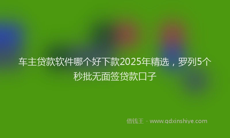 车主贷款软件哪个好下款2025年精选，罗列5个秒批无面签贷款口子