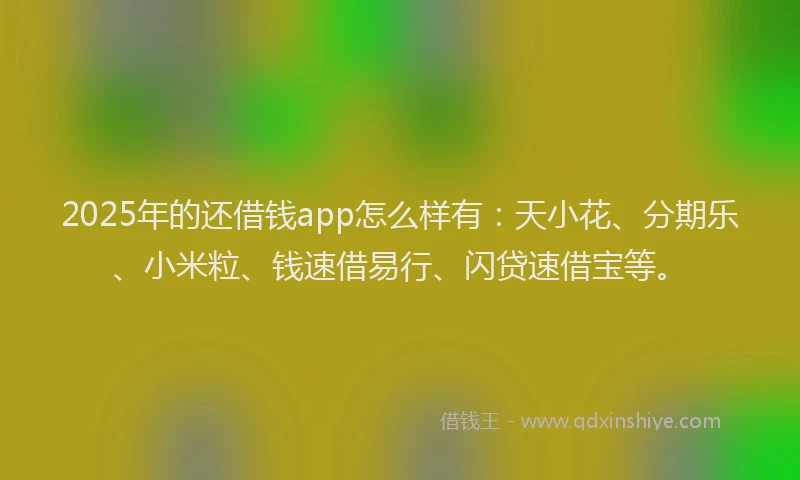 2025年的还借钱app怎么样有：天小花、分期乐、小米粒、钱速借易行、闪贷速借宝等。