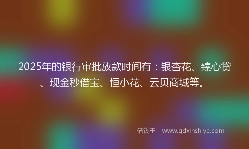 2025年的银行审批放款时间有：银杏花、臻心贷、现金秒借宝、恒小花、云贝商城等。