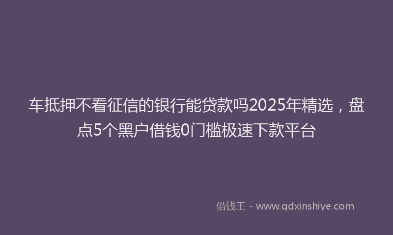 车抵押不看征信的银行能贷款吗2025年精选，盘点5个黑户借钱0门槛极速下款平台