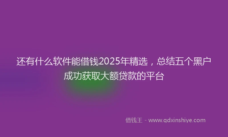 还有什么软件能借钱2025年精选，总结五个黑户成功获取大额贷款的平台