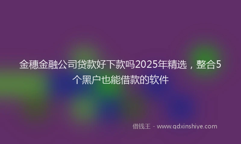 金穗金融公司贷款好下款吗2025年精选，整合5个黑户也能借款的软件