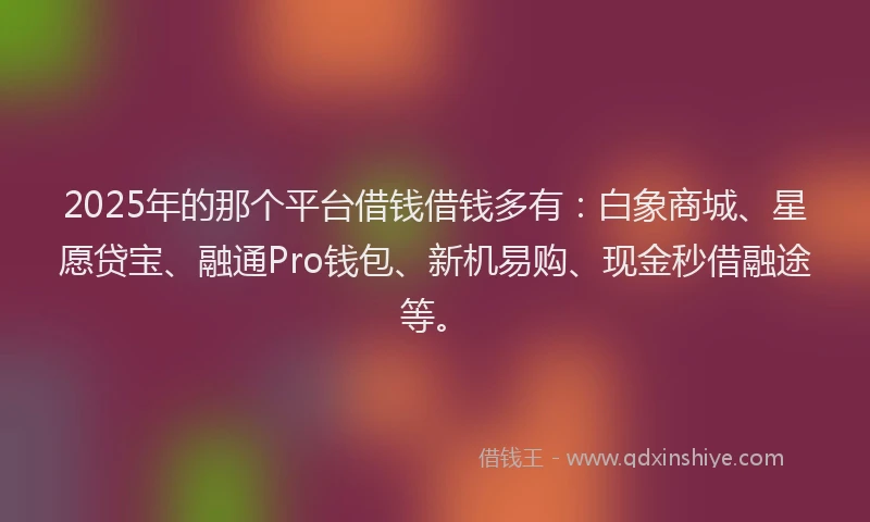 2025年的那个平台借钱借钱多有：白象商城、星愿贷宝、融通Pro钱包、新机易购、现金秒借融途等。