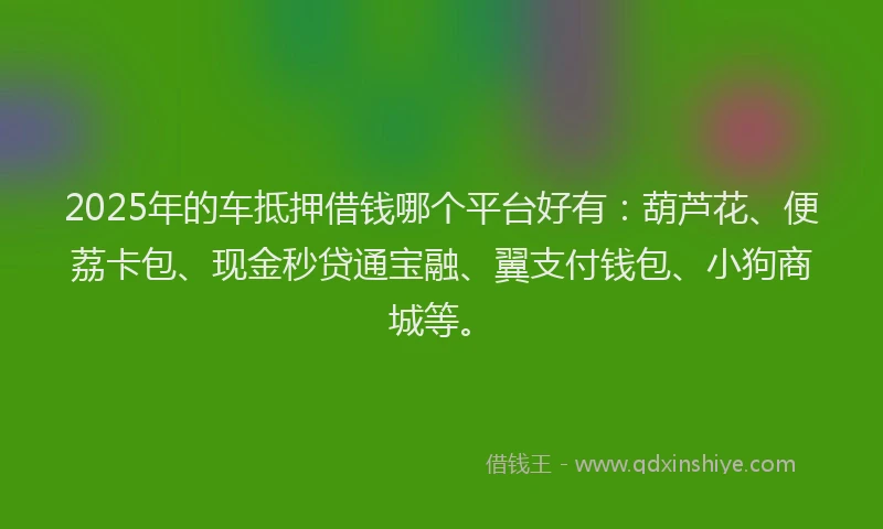 2025年的车抵押借钱哪个平台好有：葫芦花、便荔卡包、现金秒贷通宝融、翼支付钱包、小狗商城等。