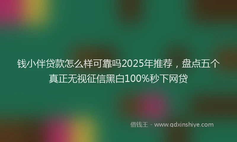 钱小伴贷款怎么样可靠吗2025年推荐，盘点五个真正无视征信黑白100%秒下网贷