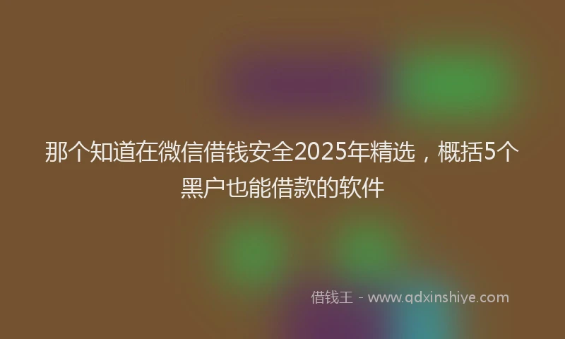 那个知道在微信借钱安全2025年精选，概括5个黑户也能借款的软件