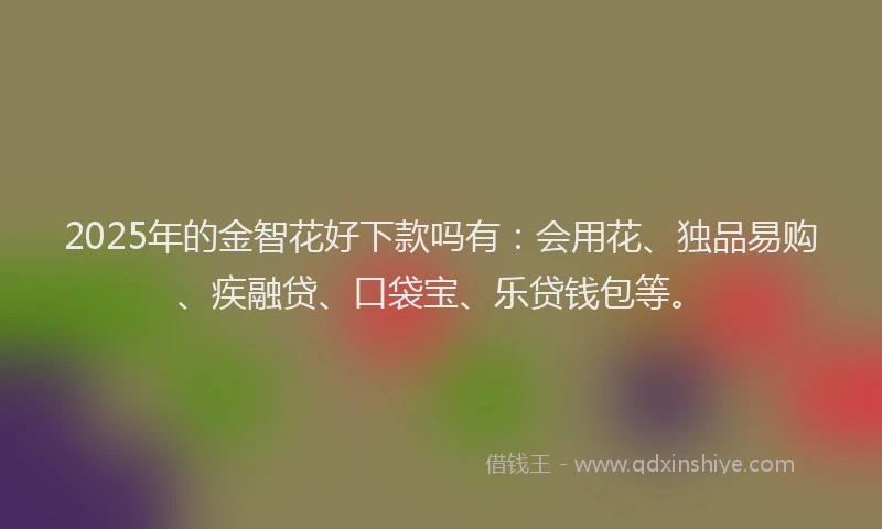 2025年的金智花好下款吗有:会用花、独品易购、疾融贷、口袋宝、乐贷钱包等。
