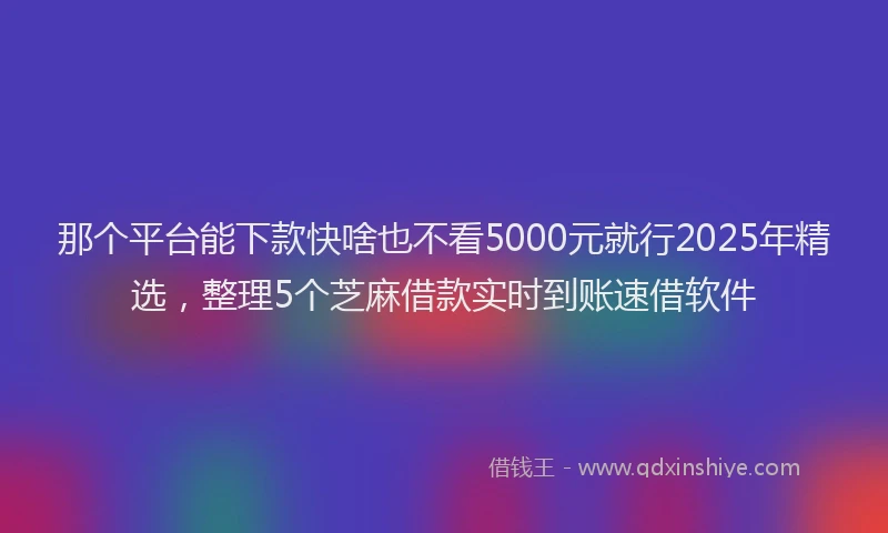 那个平台能下款快啥也不看5000元就行2025年精选，整理5个芝麻借款实时到账速借软件