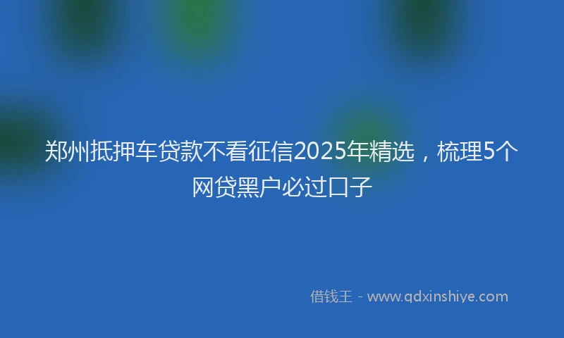郑州抵押车贷款不看征信2025年精选，梳理5个网贷黑户必过口子