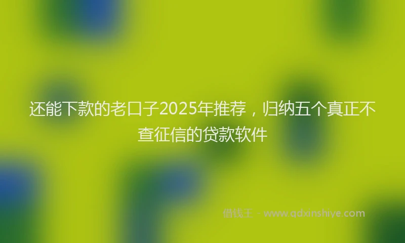 还能下款的老口子2025年推荐，归纳五个真正不查征信的贷款软件