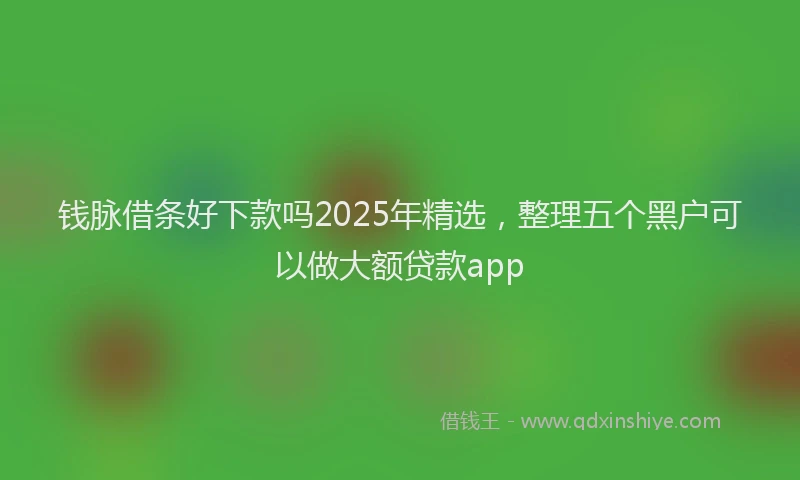 钱脉借条好下款吗2025年精选，整理五个黑户可以做大额贷款app