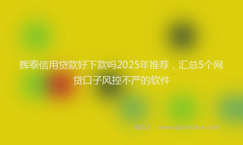 辉泰信用贷款好下款吗2025年推荐，汇总5个网贷口子风控不严的软件