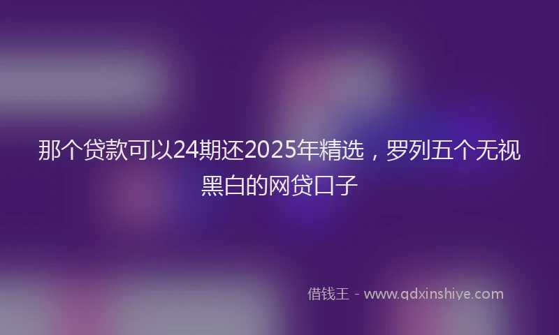 那个贷款可以24期还2025年精选，罗列五个无视黑白的网贷口子