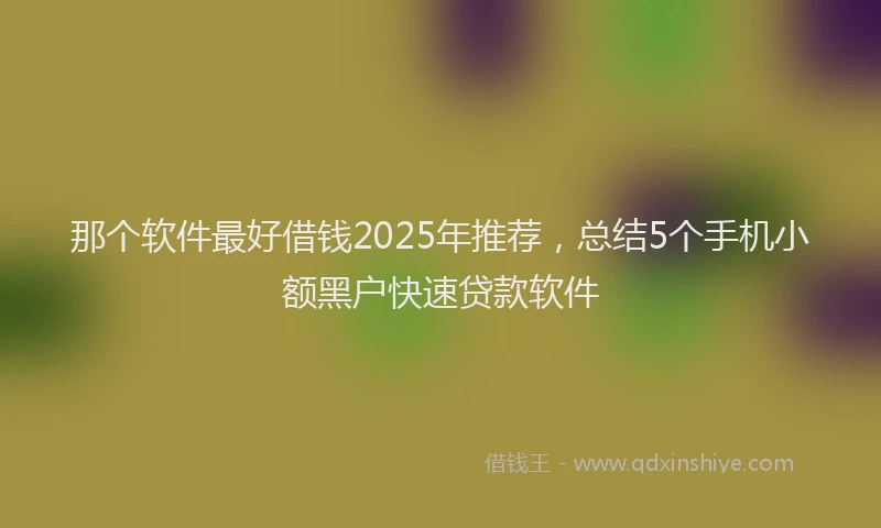 那个软件最好借钱2025年推荐，总结5个手机小额黑户快速贷款软件