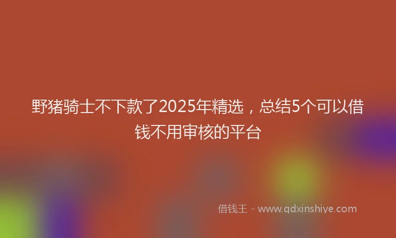 野猪骑士不下款了2025年精选，总结5个可以借钱不用审核的平台
