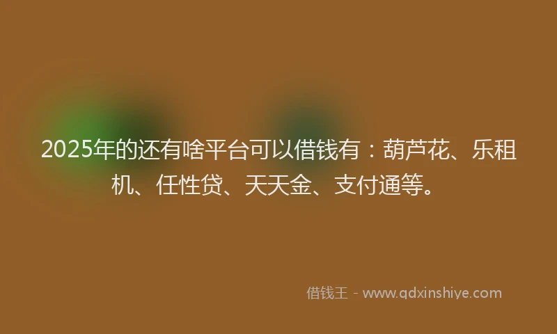 2025年的还有啥平台可以借钱有：葫芦花、乐租机、任性贷、天天金、支付通等。