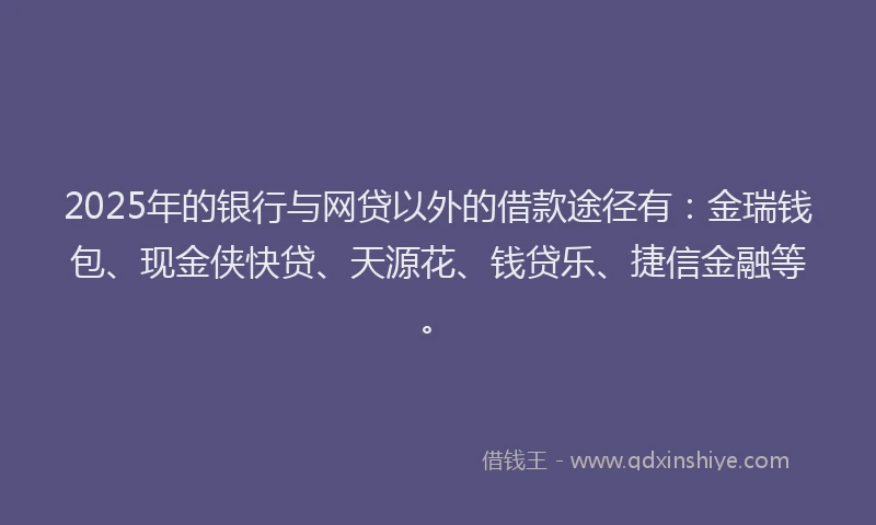 2025年的银行与网贷以外的借款途径有：金瑞钱包、现金侠快贷、天源花、钱贷乐、捷信金融等。