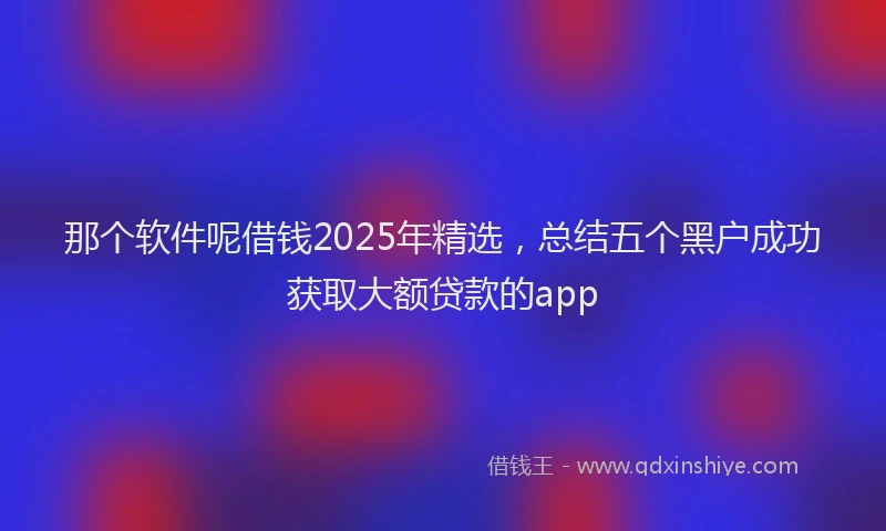 那个软件呢借钱2025年精选，总结五个黑户成功获取大额贷款的app