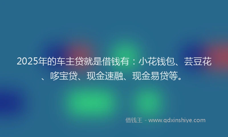 2025年的车主贷就是借钱有：小花钱包、芸豆花、哆宝贷、现金速融、现金易贷等。