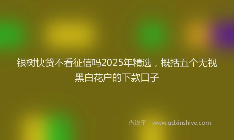 银树快贷不看征信吗2025年精选，概括五个无视黑白花户的下款口子