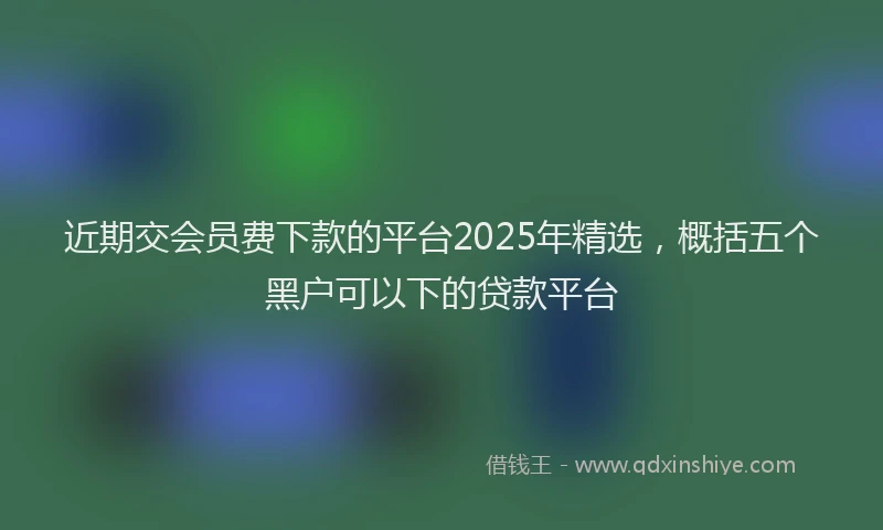 近期交会员费下款的平台2025年精选，概括五个黑户可以下的贷款平台