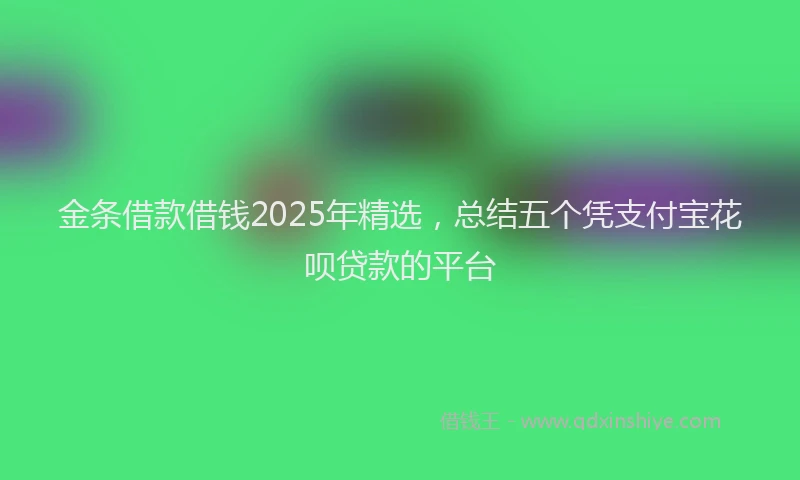 金条借款借钱2025年精选，总结五个凭支付宝花呗贷款的平台