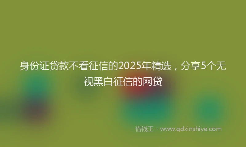 身份证贷款不看征信的2025年精选，分享5个无视黑白征信的网贷
