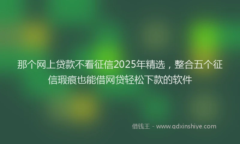 那个网上贷款不看征信2025年精选，整合五个征信瑕疵也能借网贷轻松下款的软件