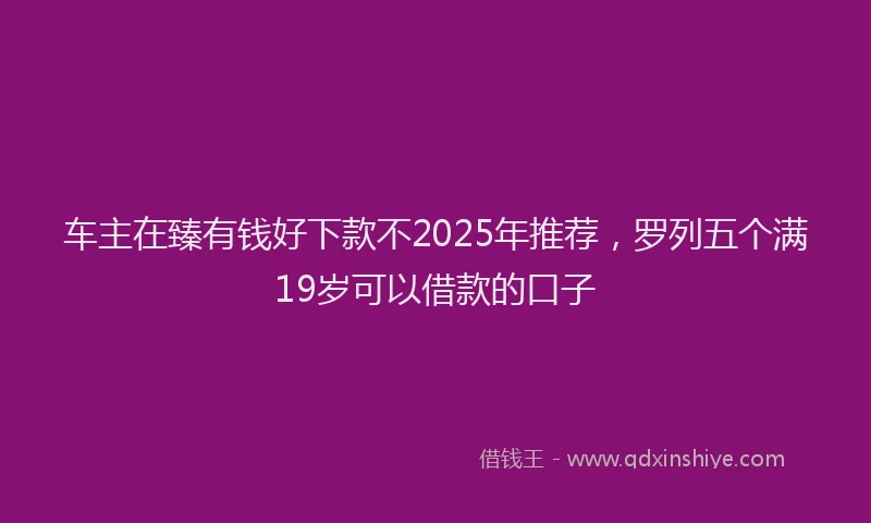 车主在臻有钱好下款不2025年推荐，罗列五个满19岁可以借款的口子