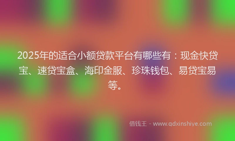 2025年的适合小额贷款平台有哪些有：现金快贷宝、速贷宝盒、海印金服、珍珠钱包、易贷宝易等。