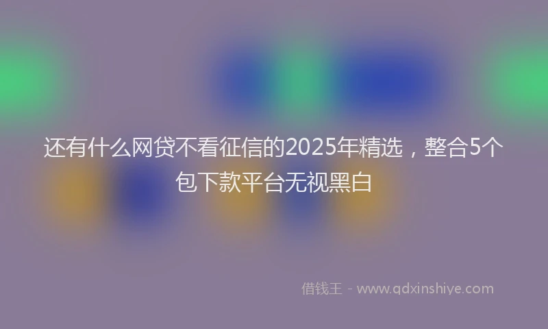还有什么网贷不看征信的2025年精选，整合5个包下款平台无视黑白