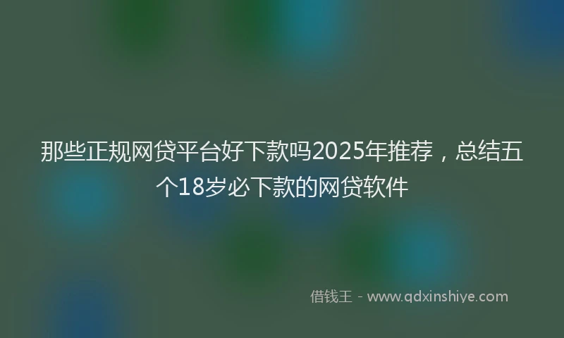 那些正规网贷平台好下款吗2025年推荐，总结五个18岁必下款的网贷软件